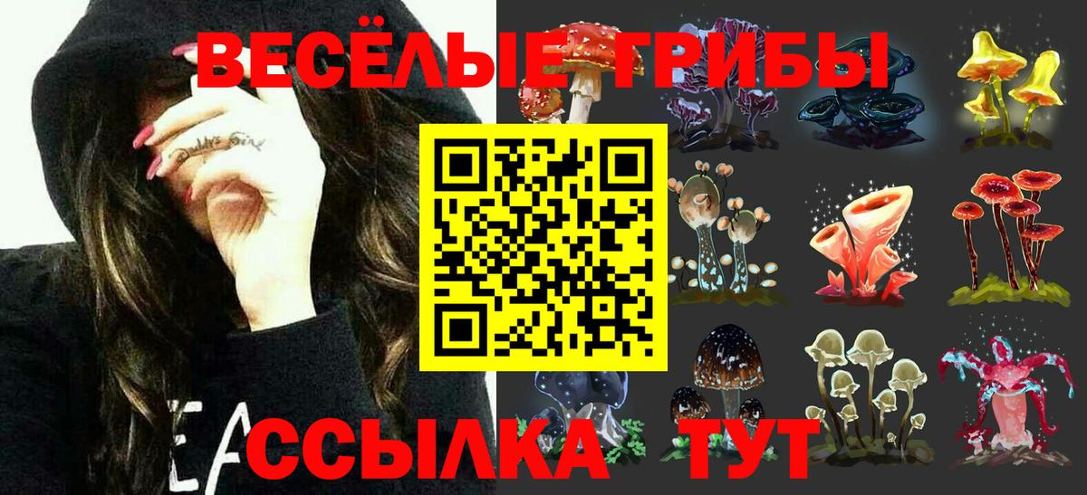 Галлюциногенные грибы GOLDEN TEACHER  Вход с VPN  Мирный  Галлюциногенные грибы Psilocybine cubensis 